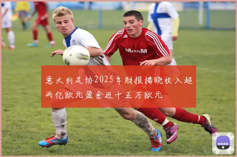 意大利足协2025年财报揭晓收入超两亿欧元盈余近十五万欧元